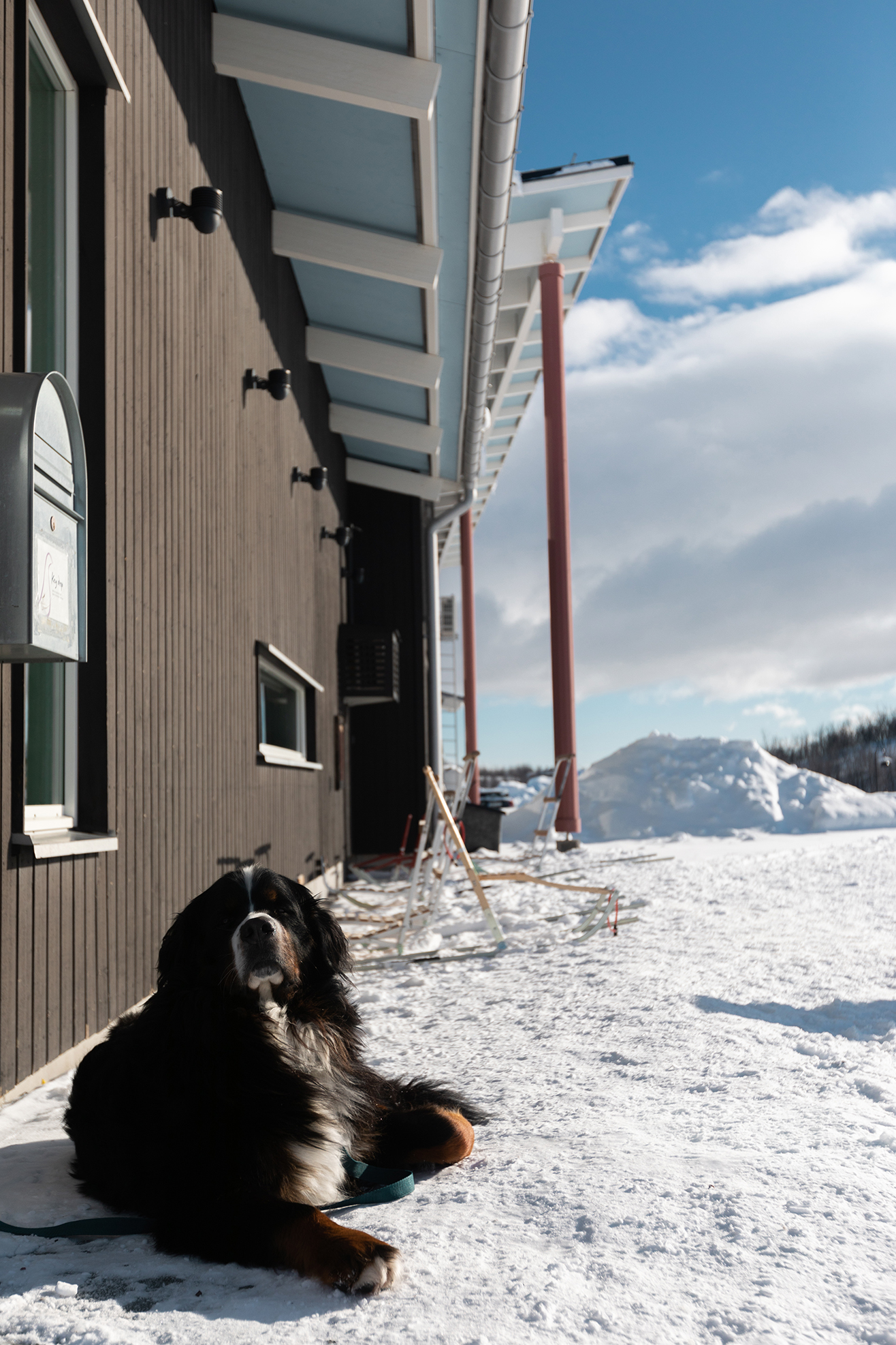 Camp Ripan. Szwecja. Hotel w szwedzkiej Laponii. Przyjazny psom.